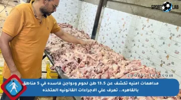 مداهمات أمنية تكشف عن 13.5 طن لحوم ودواجن فاسدة في 5 مناطق بالقاهرة.. تعرف على الإجراءات القانونية المتخذة